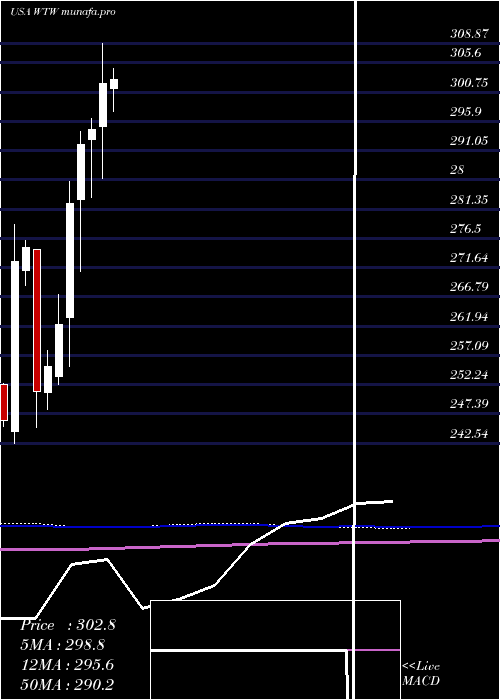  monthly chart WeightWatchers