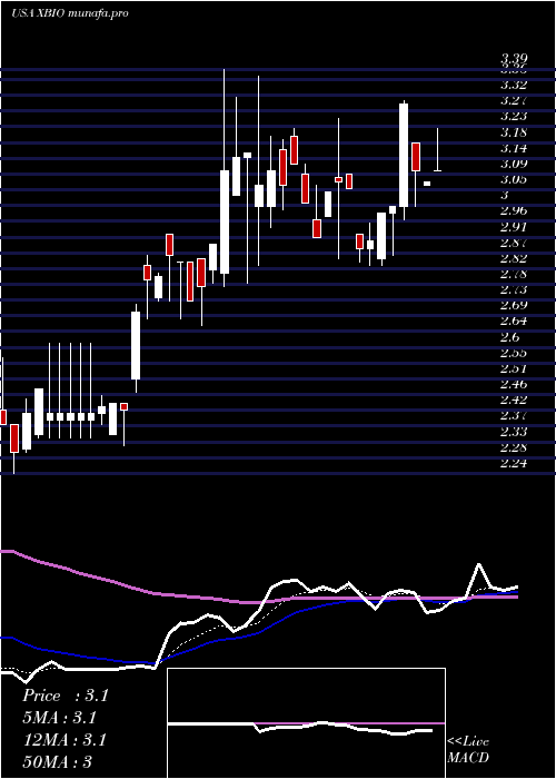  Daily chart XeneticBiosciences