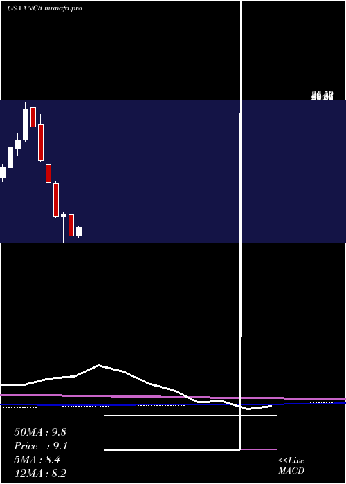monthly chart XencorInc