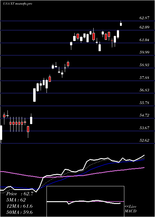 Daily chart IsharesExponential
