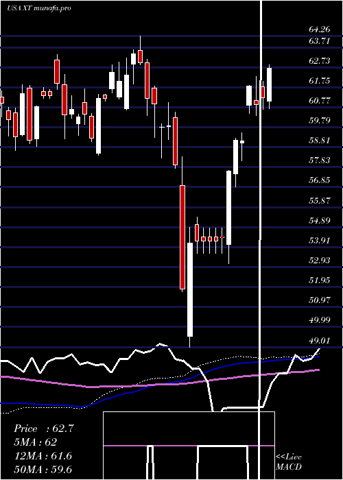 weekly chart IsharesExponential