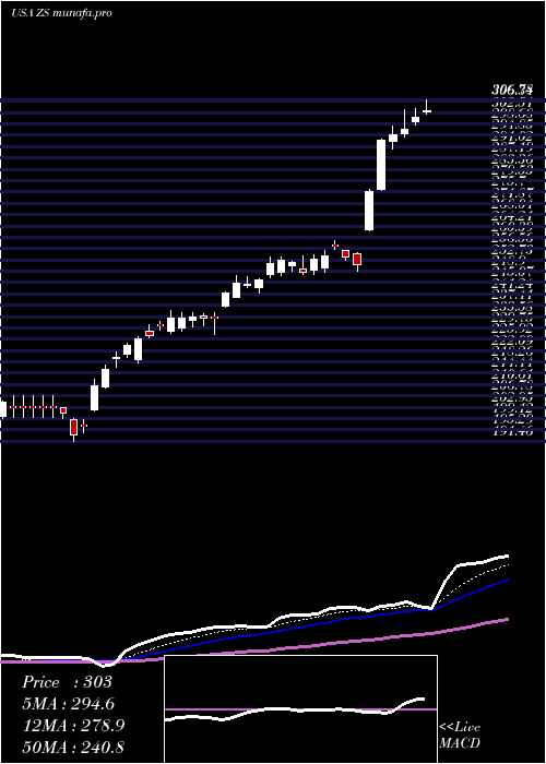  Daily chart ZscalerInc